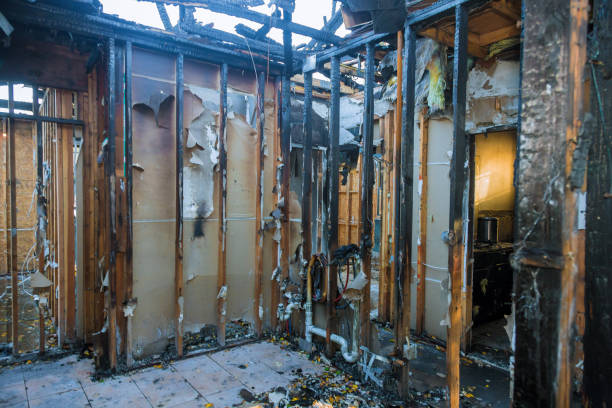 Professional Fire Damage Removal technician working in Montana City, MT